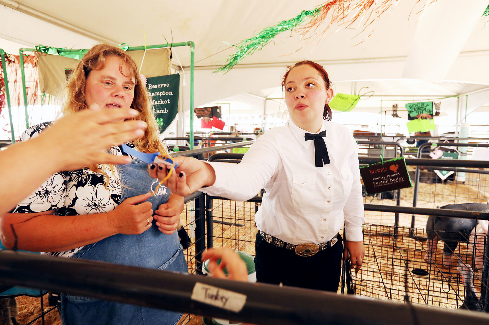 Blue ribbon winner at the Butte-Silver Bow County Fair